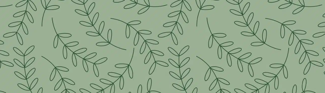 La Bruyère, Hôtel près du Puy du Fou