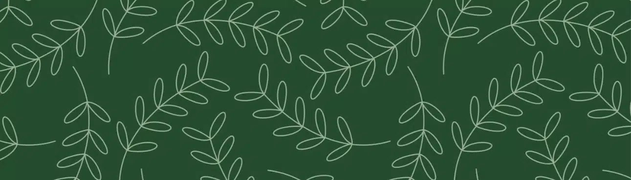 Mariage, Réunion et Séminaire en Vendée à l'Hôtel La Bruyère