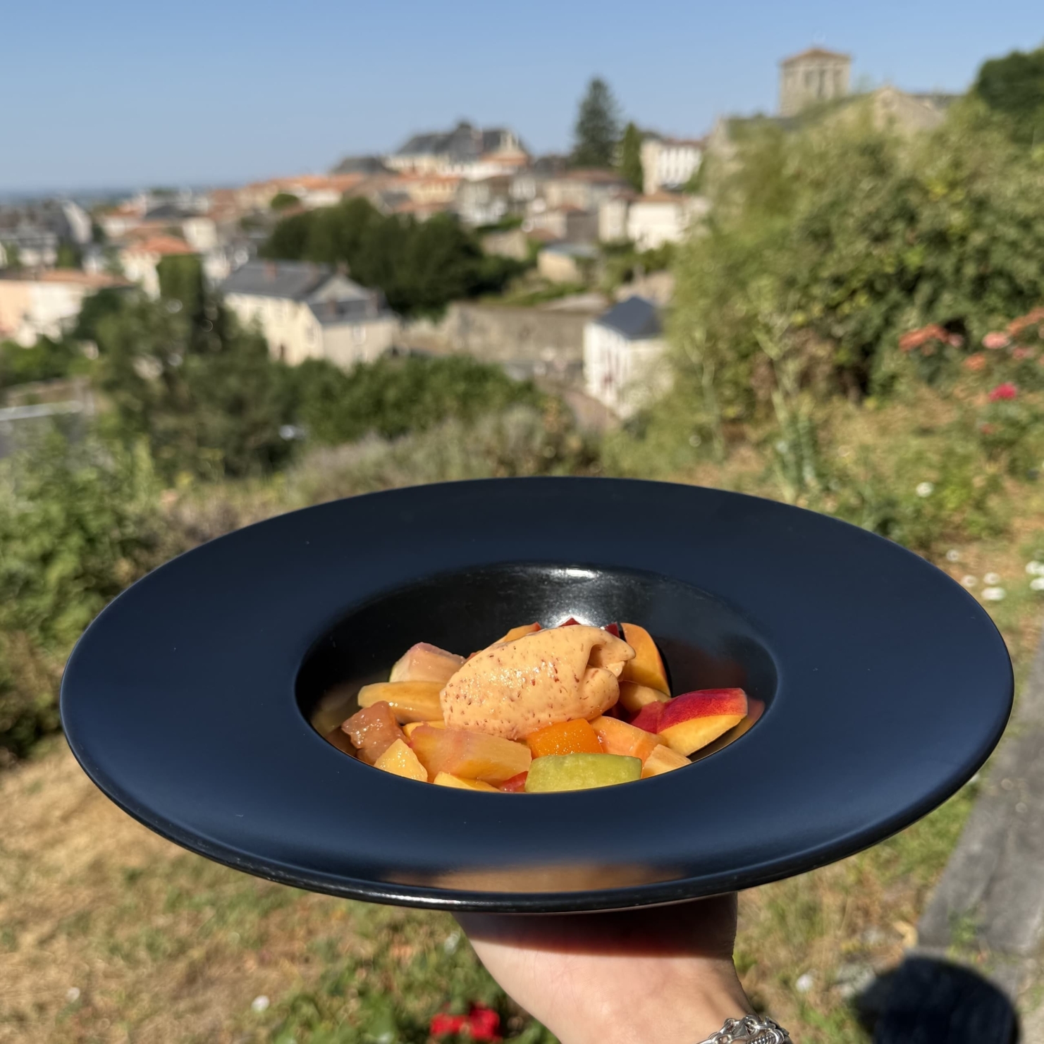 Salade de fruits sorbet nectarine